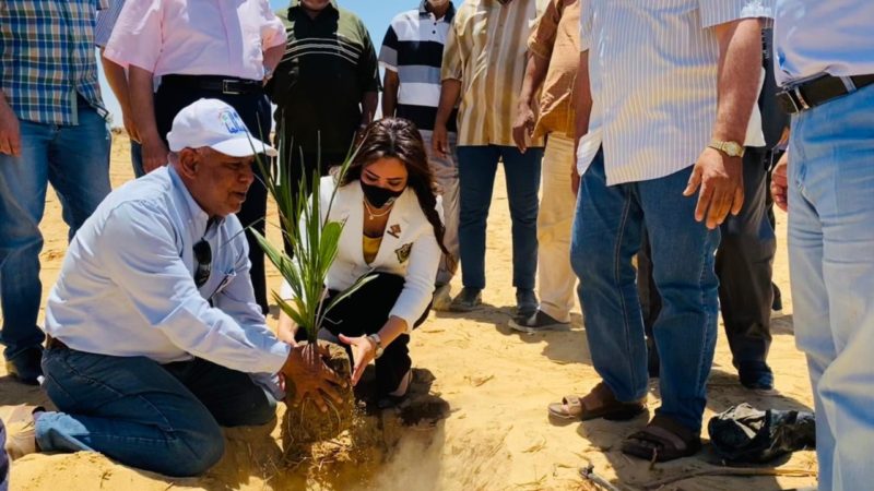 الزراعة: تأهيل وتشغيل معمل انتاج طفيل الترايكوجراما بالواحات البحرية