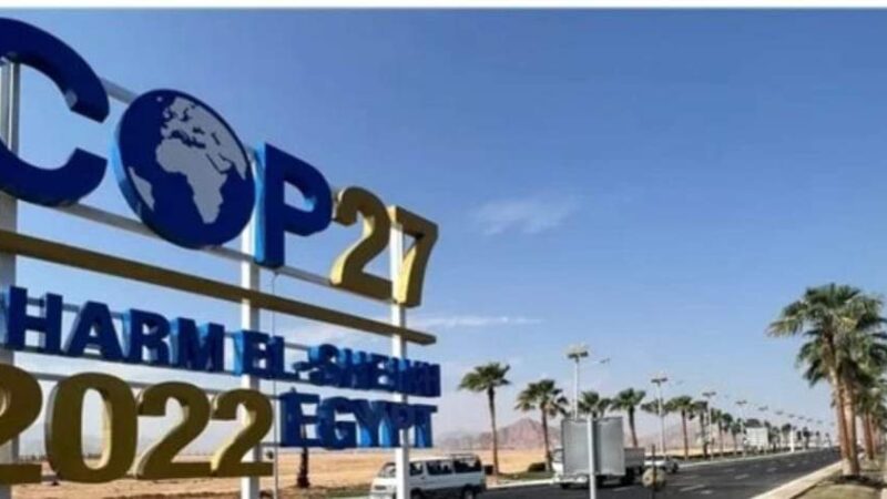 مستشار السياحة العالمية من شرم الشيخ: ترجمة مؤتمر قمة المناخ COP 27 بـ 6 لغات رسمية