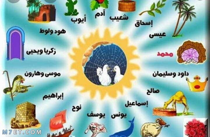 كم يبلغ عدد الأنبياء والرسل