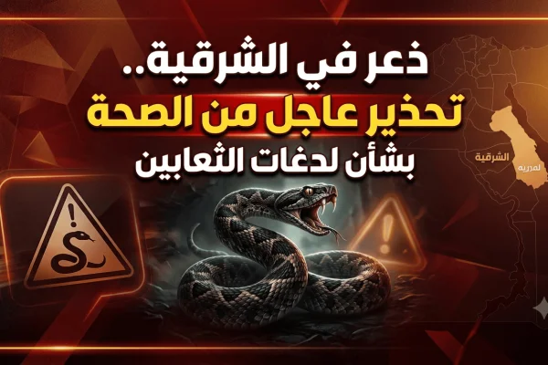 ذعر في الشرقية.. تحذير عاجل من الصحة بشأن لدغات الثعابين