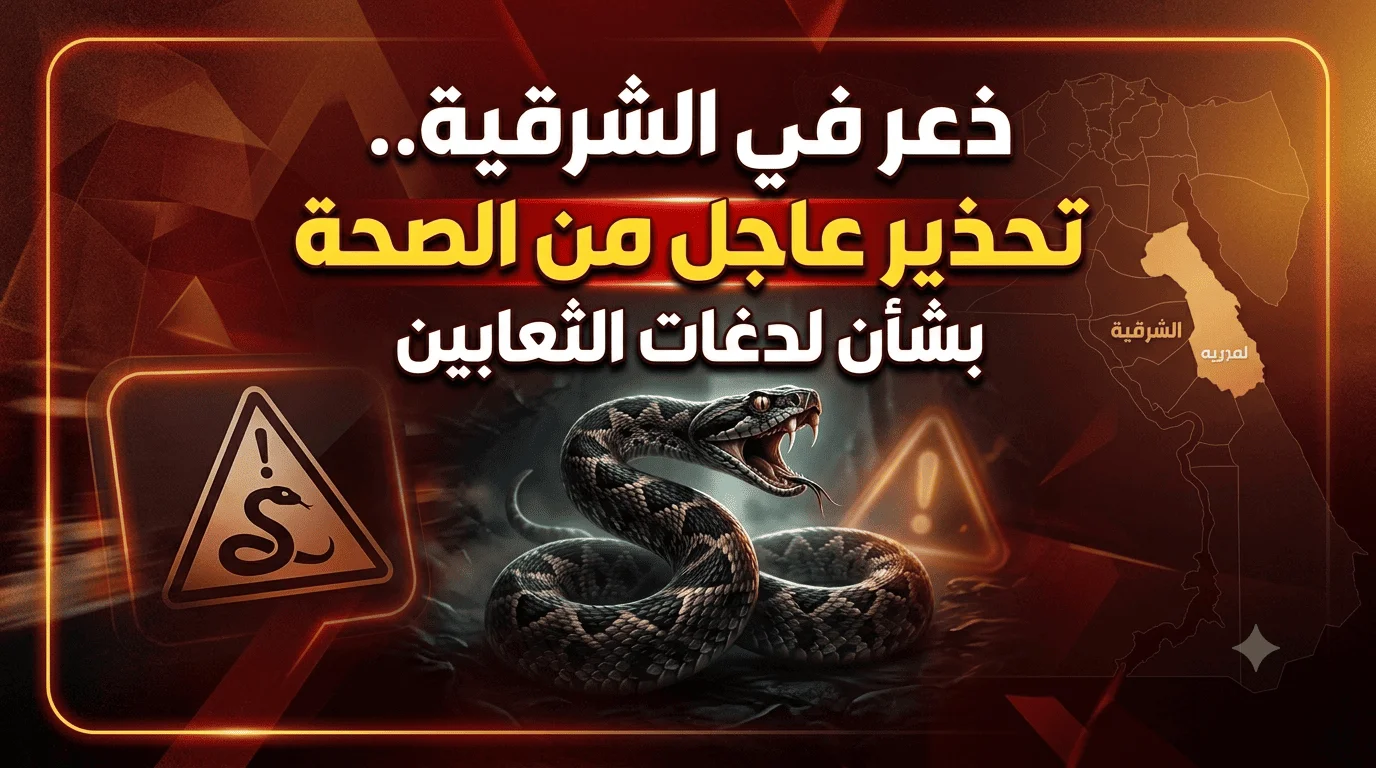 ذعر في الشرقية.. تحذير عاجل من الصحة بشأن لدغات الثعابين